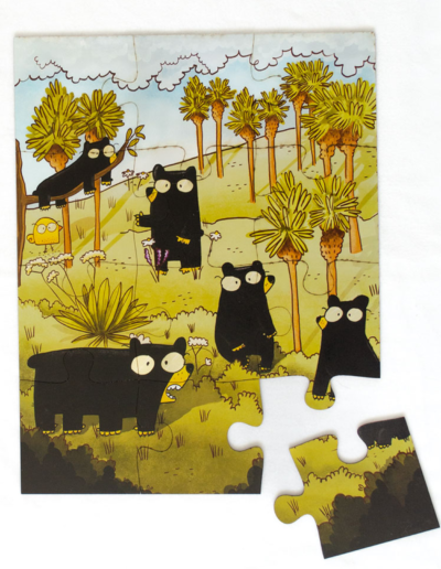 paramo puzzle