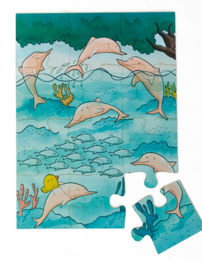 rio amazonas puzzle
