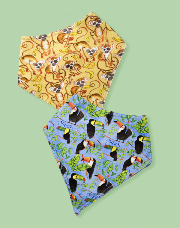 The Tropical Dreams Set