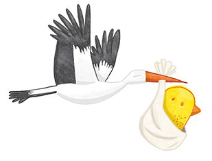 baby onesies, gender neutral baby onesie, red, cotton onesie, baby bodysuit, cotton onesie, twibbles basics, flexibility and comfort